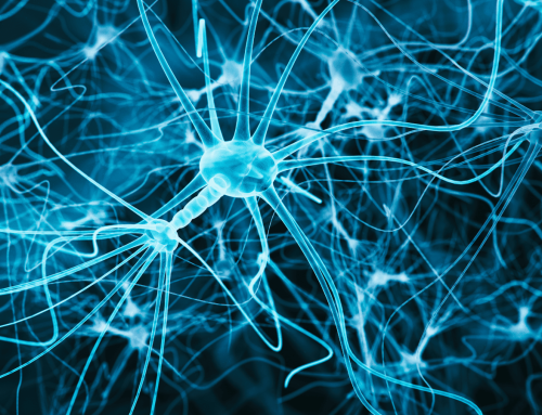 Embracing Neurodiversity: The Benefits of a Neurodivergent Workplace and How to Offer Support